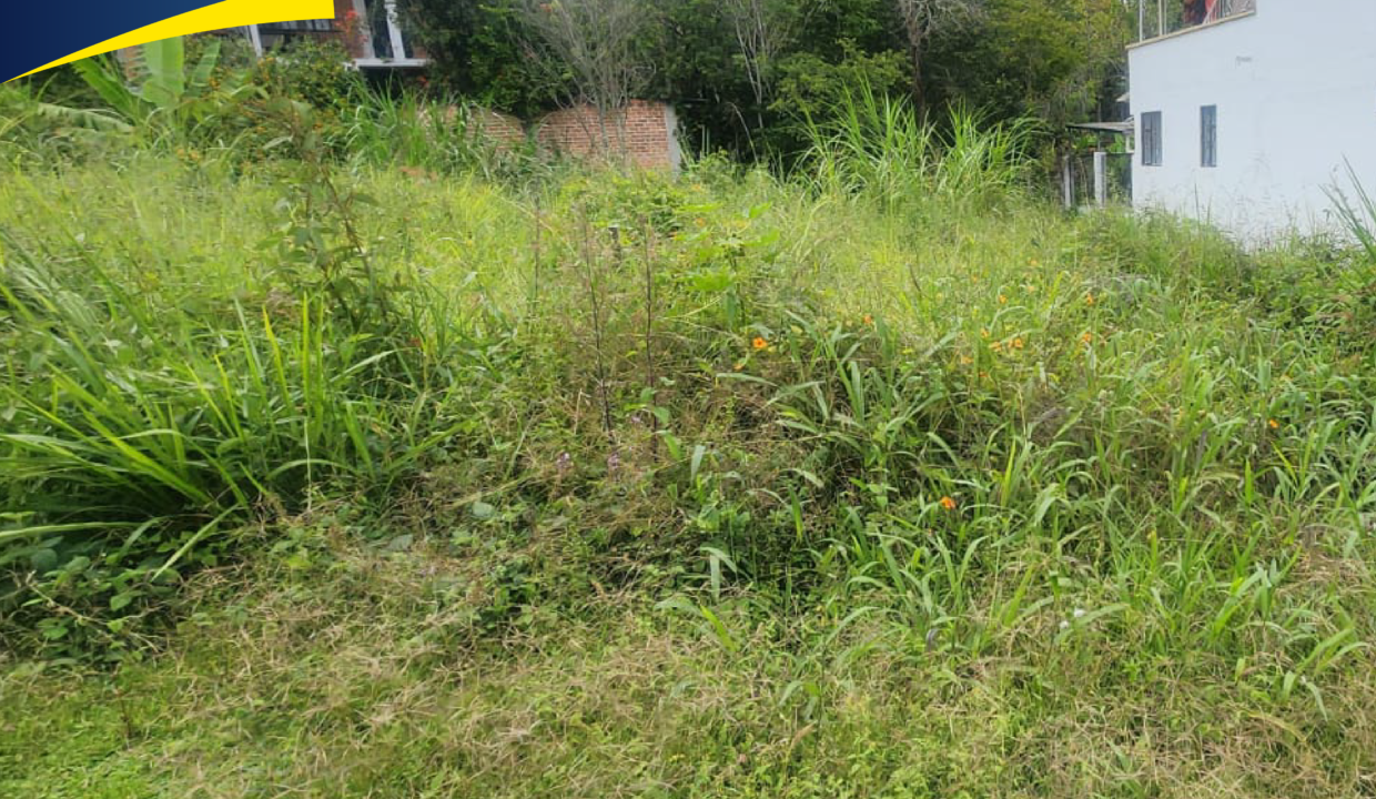 🏥 CONSULTORIO EN VENTA – EDIFICIO TERRA ✨-02